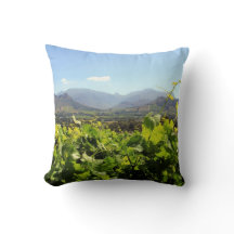 Vingårdar i Franschhoek, Sydafrika