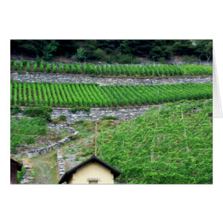 Vingårdar i Schweitz Hälsningskort