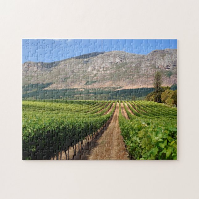 Vingårdar på Groot Constantia Wine Estate Pussel (Horisontell)