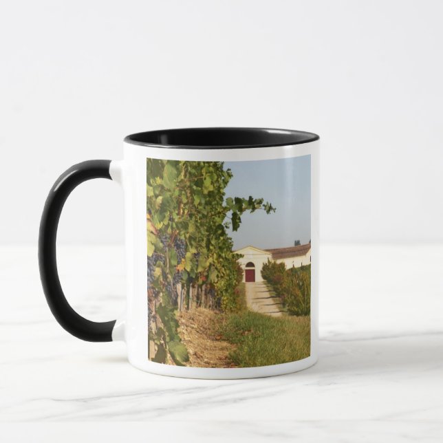 Vingårdar, petit verdot-vinrankor och vinfabriken  mugg (Vänster)