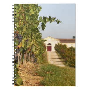 Vingårdar, petit verdot-vinrankor och vinkällaren anteckningsbok med spiral