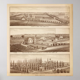 Vingårdar rancher, Tulare Co, Calif Poster