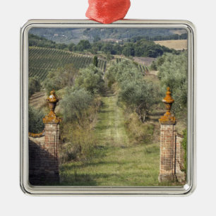 Vingårdar, Toscana, Italien Julgransprydnad Metall