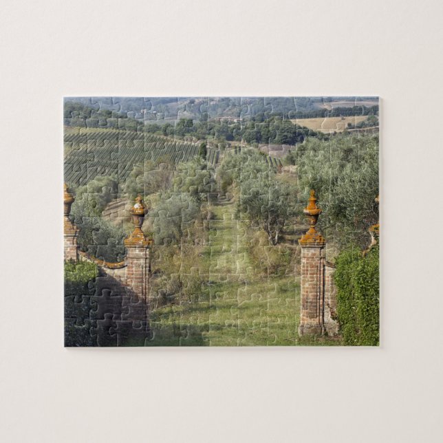 Vingårdar, Toscana, Italien Pussel (Horisontell)