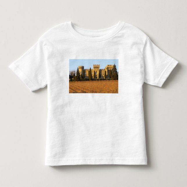 Vingården med syrah-vinrankor och chateau tee shirt (Framsida)
