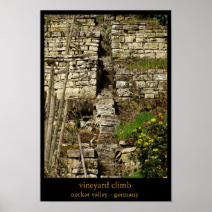 vingårdklättring poster
