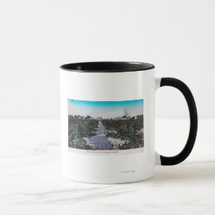 Vingårdplats av druvor DryingKingsburg, CA Mugg
