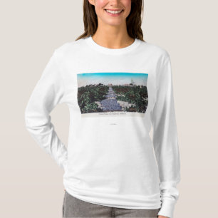Vingårdplats av druvor DryingKingsburg, CA Tee