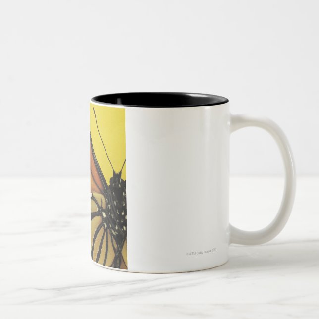 Vinge av en fjäril Två-Tonad mugg (Höger)