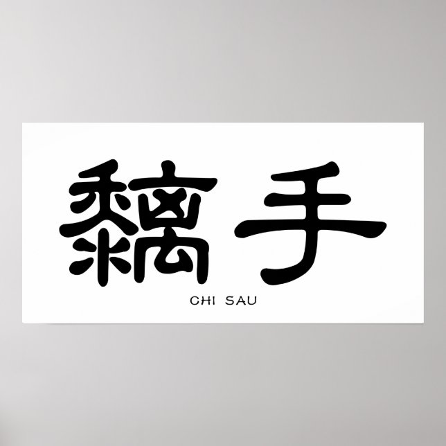 Vinge Chun Chi Sau kinesiska calligrafi Poster (Framsidan)