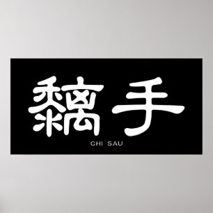 Vinge Chun Chi Sau White China Calligraphy Poster