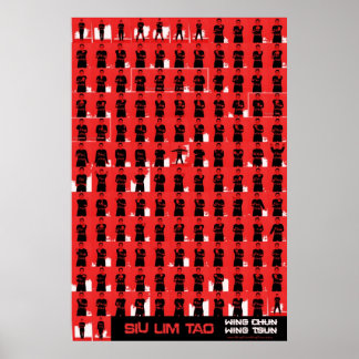 Vinge Chun Siu Lim Tao Red Poster