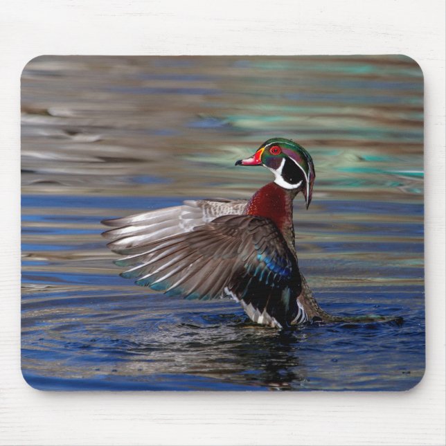 Vinge Flapping Wood Anka Musmatta (Framsidan)