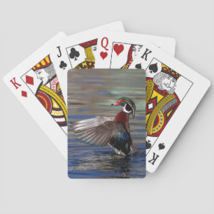 Vinge Flapping Wood Anka Spel Kort