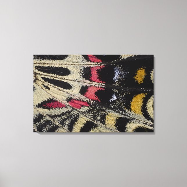 Vinge i närheten av Bhutanitis mansfield di Canvastryck (Framsida)