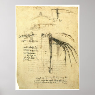 Vinge om Leonardo da Vinci-programmet för flygning Poster
