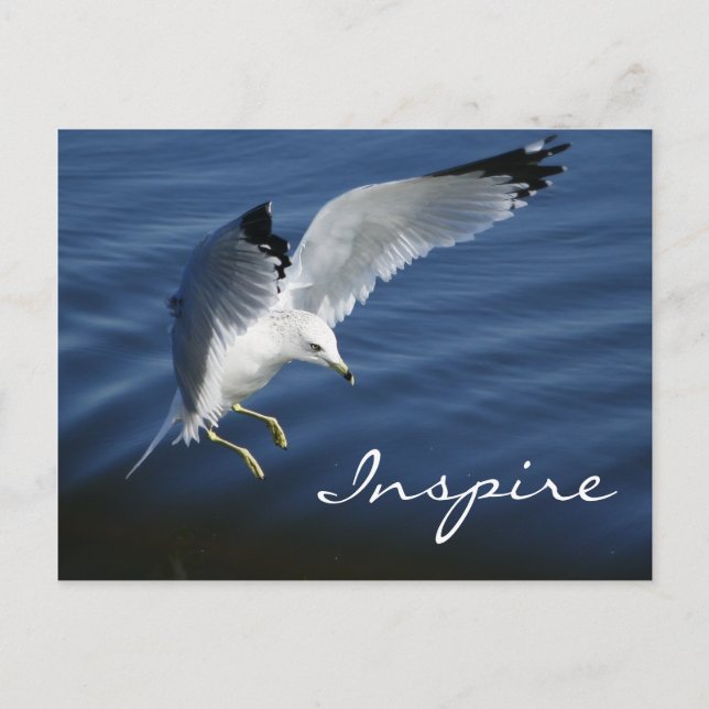 Vinge över Pennsylvania-postkortet Vykort (Framsida)