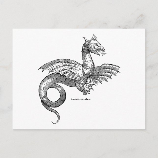 Vinged Dragon eller Wyvern Postcard Vykort (Framsida)