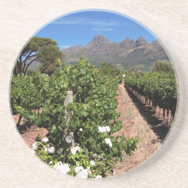 Vinkällor vy. Stellenbosch Underlägg (Framsidan)