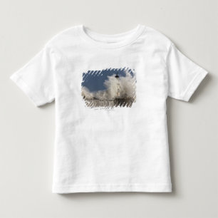 Vinkar att krascha upp mot en fyr t-shirt