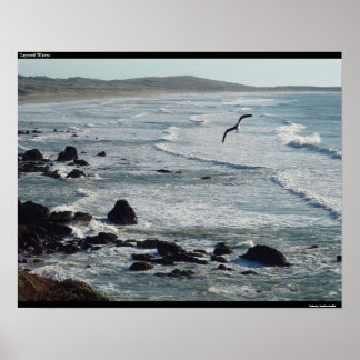 Vinkar i lager poster