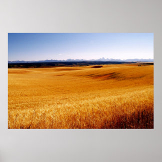 Vinkar text för gul poster