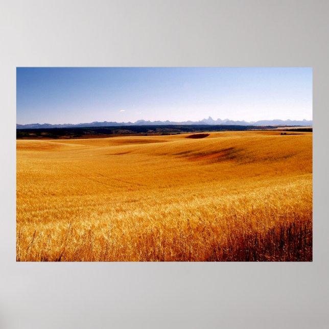 Vinkar text för gul poster (Framsidan)