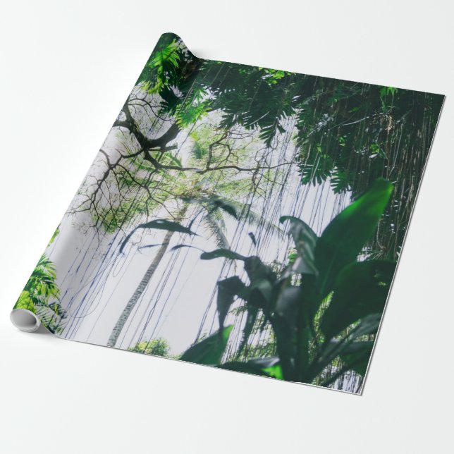 Vinkara havet presentpapper (Utrullad)