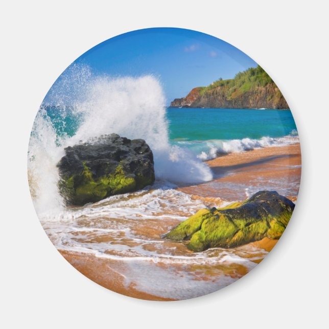 Vinkarare kraschen på stranden, Hawaii Magnet (Framsidan)