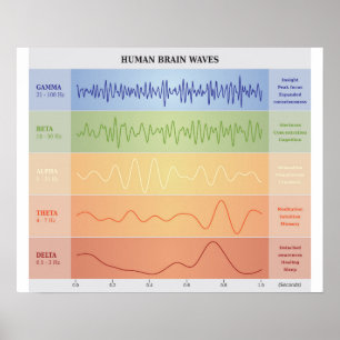 Vinkart diagram för människahjärna - poster
