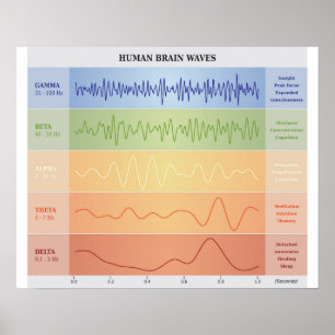 Vinkart diagram över humant hjärndiagram - Regnbåg Poster
