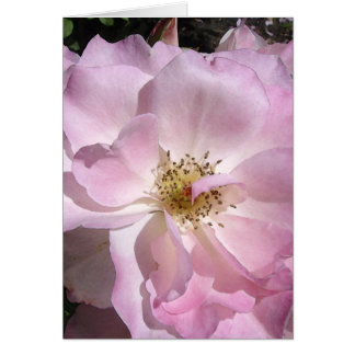 Vinkelt ansikte steg hälsningskort