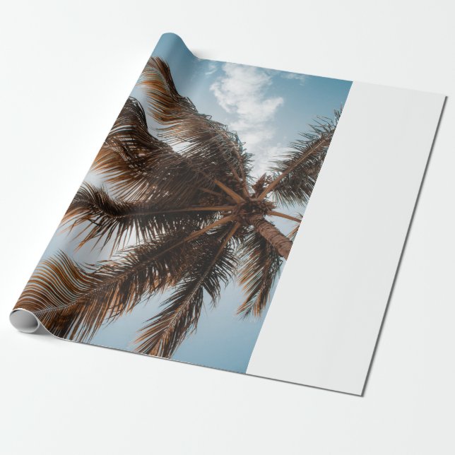 Vinkelt foto av kokosnöt träd presentpapper (Utrullad)
