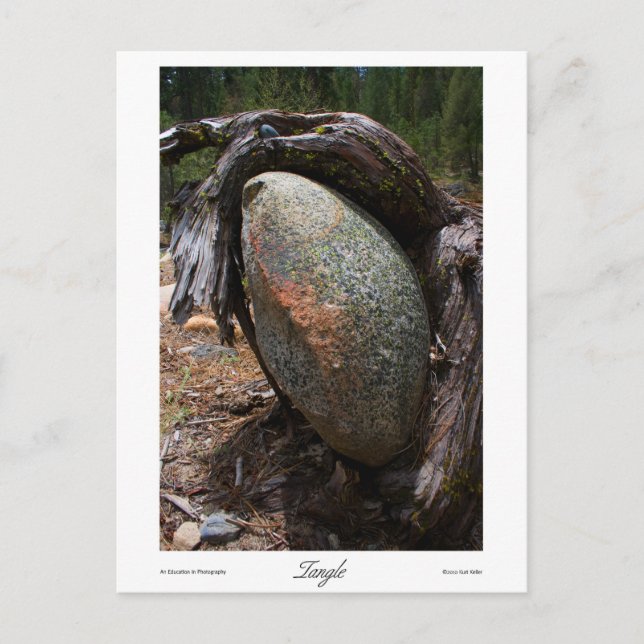 Vinkelutskrift Vykort (Framsida)