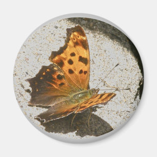 Vinkla Vinge Comma Butterfly Magnet