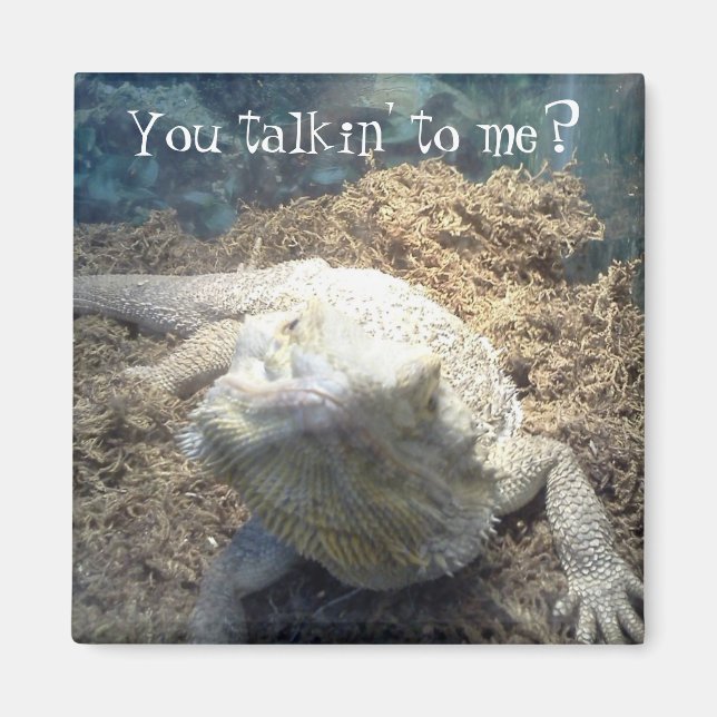 Vinklad drakmagnet magnet (Framsidan)