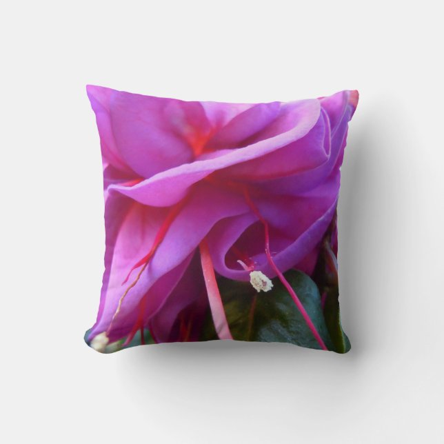 VINKLAD FUSCHIA KUDDE (Framsida)