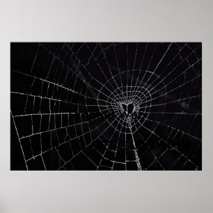 Vinklad Webben Poster