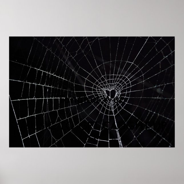 Vinklad Webben Poster (Framsidan)