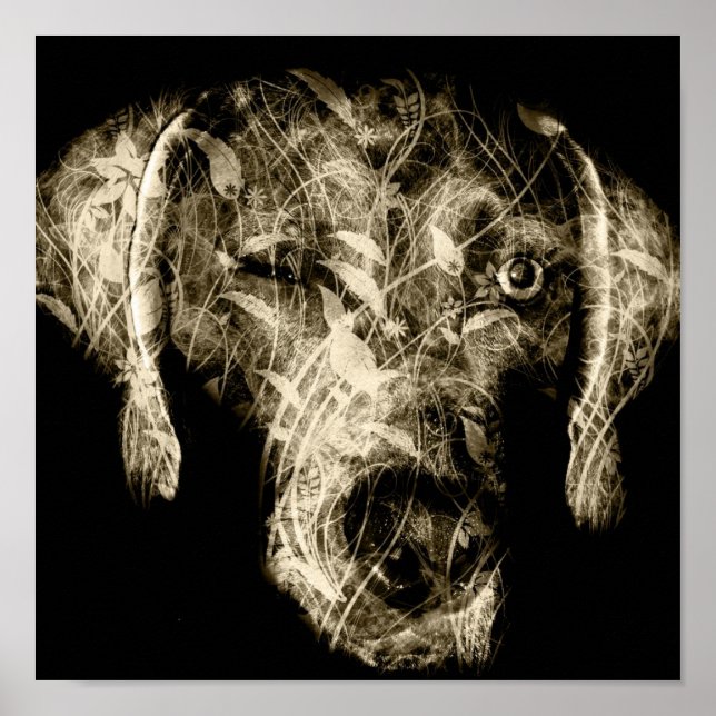 vinktrögare poster (Framsidan)