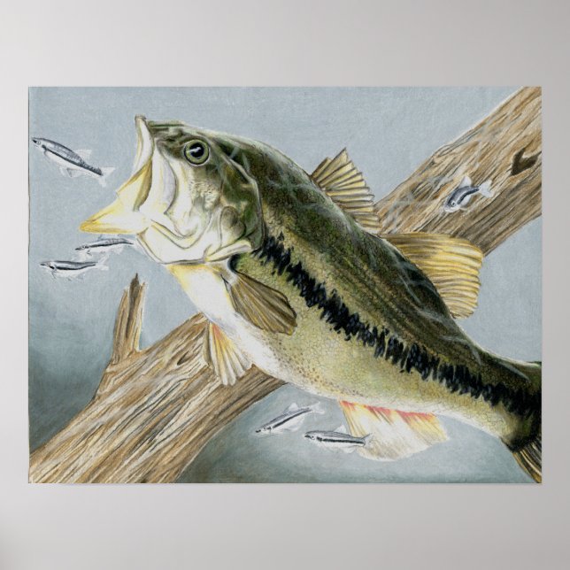 Vinning Art av A. Backus Klass 12 Poster (Framsidan)