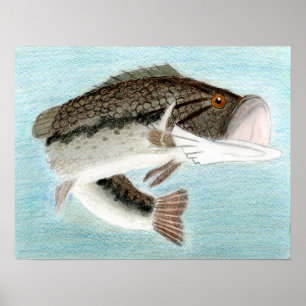 Vinning av D. Gillett - Klass 9 Poster