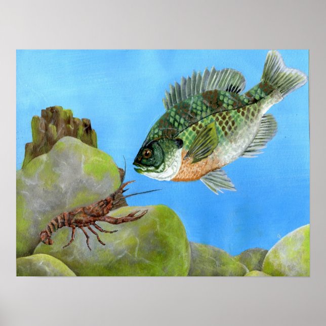 Vinning av teckningar av M. Peet, Klass 11 Poster (Framsidan)