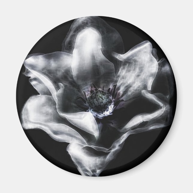 Vinny Magnet (Framsidan)