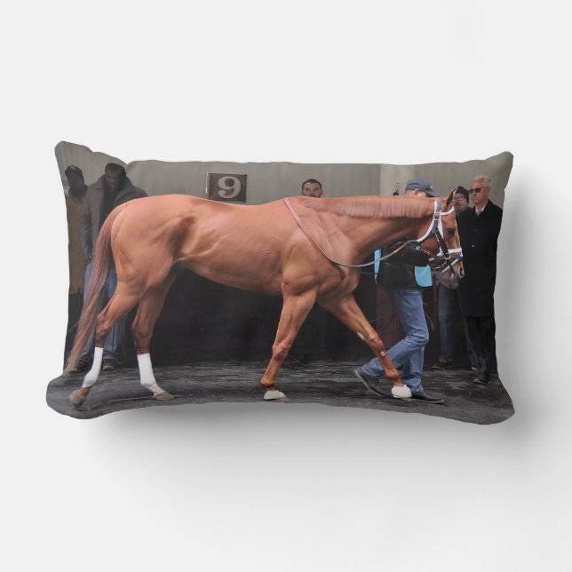 Vino Rosso - Todd Pletcher Lumbarkudde (Framsida)