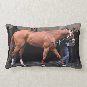 Vino Rosso - Todd Pletcher Lumbarkudde