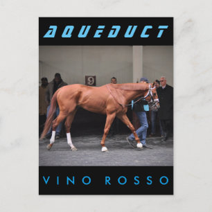 Vino Rosso - Todd Pletcher Vykort