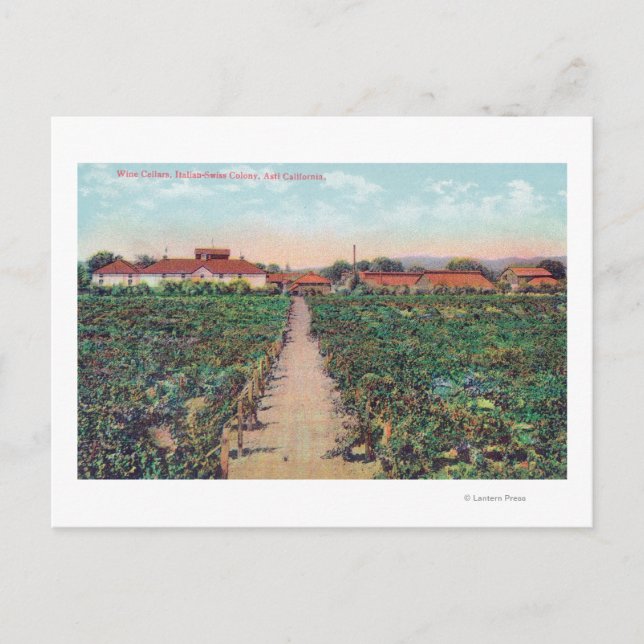 Vinodlarnas och Vin Cellars flygvy Vykort (Framsida)