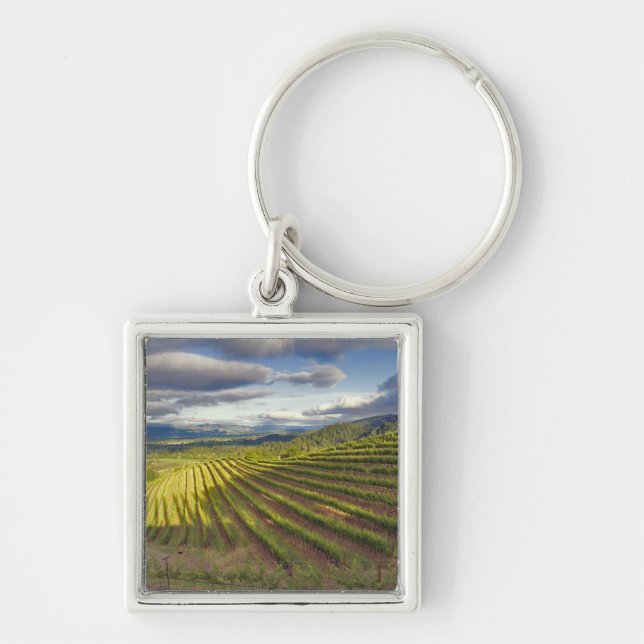 Vinodling. Napa Valley. Napa. Napa County Fyrkantig Silverfärgad Nyckelring (Framsidan)