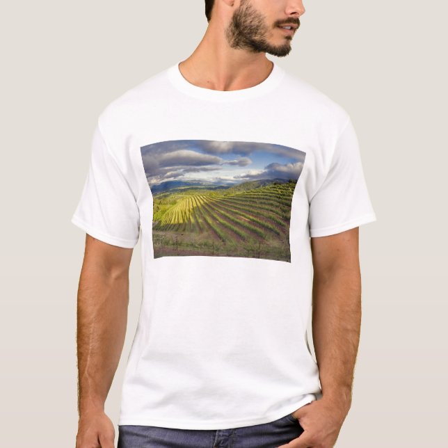Vinodling. Napa Valley. Napa. Napa County Tee Shirt (Framsida)